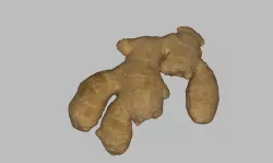 Ginger Low-poly 3D model