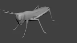 Grasshopper 3D model