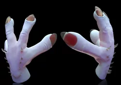 Hands Preset 3D model