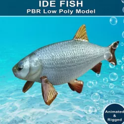 Ide Fish Animated Model Low-poly 3D model