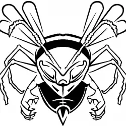Killer Hornet stencil