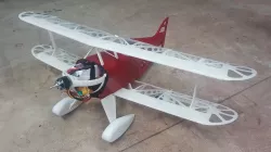 Pitts special RC Plane 