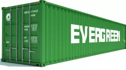 Shipping Container Evergreen 3D model