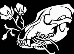 Skull rose stencil
