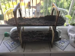Soda Bottle Stacking Planter
