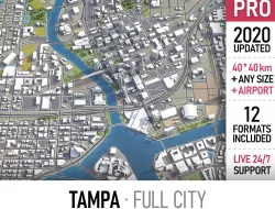 Tampa Low-poly 3D model