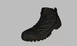 Trekking Shoe Geox Low-poly 3D model