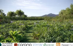 Vegetables Crop Collection - Include GrowFX and Mesh file  3D model