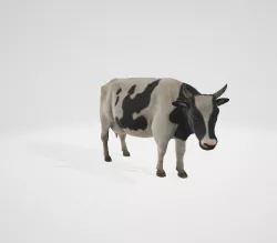 3D Cow  3D model