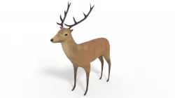 3D Deer Model and Animation Low-poly 3D model