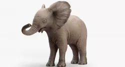 Animated Elephant  baby 8K Low-poly 3D model