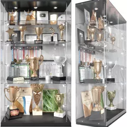Award cabinet 3D model