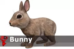 Bunny Low-poly 3D model