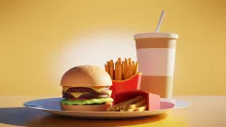 Burger and Fries 3D model