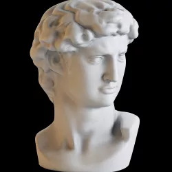Bust of David 3D model