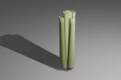 Celery 3D model