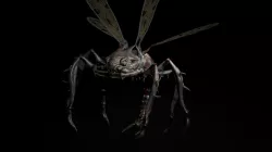 Dangerous Fly Low-poly 3D model