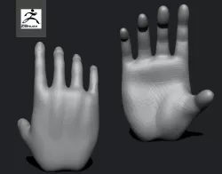 hand model 3D model