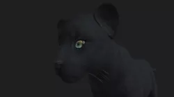 LION-016 Lion Cub 3D model