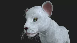 LION-018 Lion Cub 3D model