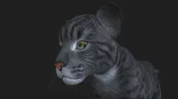 LION-019 Lion Cub 3D model