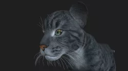LION-020 Lion Cub 3D model