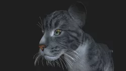 LION-021 Lion Cub 3D model