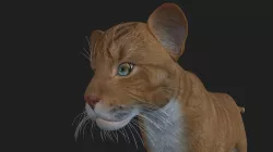 LION-024 Lion Cub 3D model