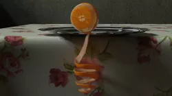 Orange peel 3D model 3D model
