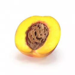 PEACH  3D model