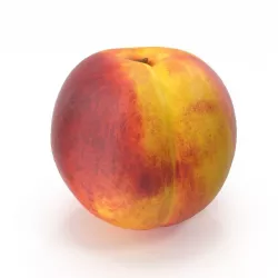 PEACH 3D model