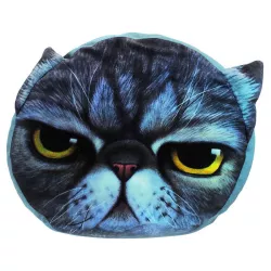 Pillow with Painted Cat Face 3D model