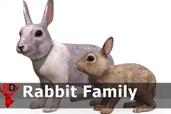 Rabbit Family Low-poly 3D model