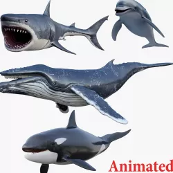  Set of Sea Animals Animated 8K Low-poly 3D model
