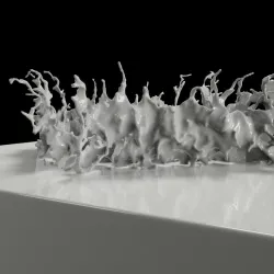 Splash 43 3D model
