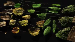 36 Foliage types-  32-16 bit 6K atlases - 325 textures Texture
