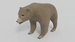 3D Bear Model and Animation Low-poly 3D model