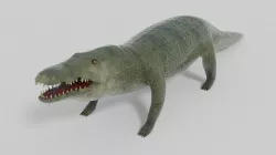 3D Crocodile Model Low-poly 3D model