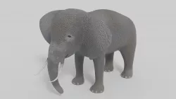 3D Elephant Model Low-poly 3D model