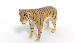 3D Tiger Model Low-poly 3D model
