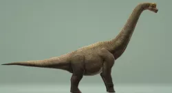 Brachiosaurus with Animation Low-poly 3D model