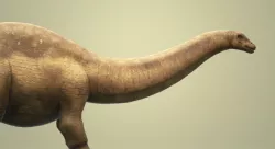 Brontosaurus with Animation Low-poly 3D model