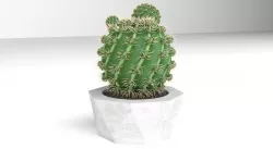 Cactus 3D model