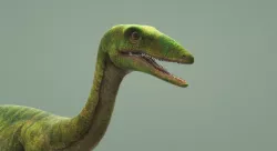 Compsognathus with Animation Low-poly 3D model