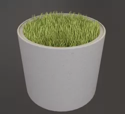 Concrete Pipe Pots with Grass 800mm Low-poly 3D model