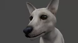DFOX-001 Rigged Fox 3D model