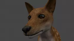DFOX-002 Rigged Fox 3D model