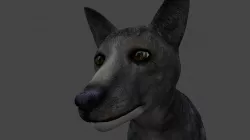 DFOX-003 Rigged Fox 3D model