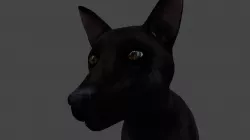 DFOX-004 Rigged Fox 3D model