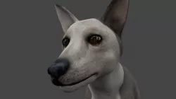 DFOX-005 Rigged Fox 3D model